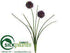 Silk Plants Direct Allium Bush - Burgundy Dark - Pack of 24