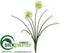 Silk Plants Direct Allium Bush - Cream - Pack of 24