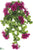 Outdoor Azalea Hanging Bush - Rubrum - Pack of 6