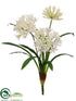 Silk Plants Direct Agapanthus Bush - Cream White - Pack of 12
