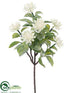 Silk Plants Direct Astrantia Bush - White - Pack of 24
