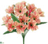 Silk Plants Direct Amaryllis Bush - Peach Coral - Pack of 12