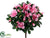 Azalea Bush - Pink - Pack of 12