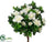 Azalea Bush - White - Pack of 6