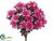 Azalea Bush - Cerise - Pack of 6