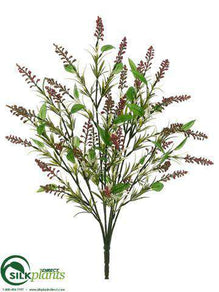 Astilbe Bush - Pink Two Tone - Pack of 12