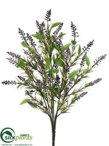 Astilbe Bush - Purple Lavender - Pack of 12