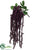 Astilbe Hanging Bush - Eggplant - Pack of 6