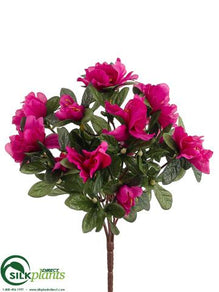 Azalea Bush - Fuchsia - Pack of 36