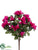 Azalea Bush - Fuchsia - Pack of 36