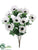 Anemone Bush - White - Pack of 12