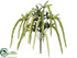 Silk Plants Direct Amaranthus Bush - Green Two Tone - Pack of 12
