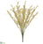 Astilbe Bush - Beige - Pack of 12