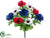 Anemone Bush - Mixed - Pack of 24