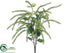 Silk Plants Direct Amaranthus Bush - Green - Pack of 12