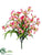 Alstroemeria Bush - Cerise Yellow - Pack of 12