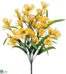 Alstroemeria Bush - Yellow - Pack of 12