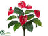 Silk Plants Direct Anthurium Bush - Red - Pack of 12