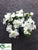 Outdoor Azalea Bush - White - Pack of 12