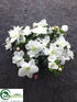 Silk Plants Direct Outdoor Azalea Bush - White - Pack of 12