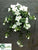 Outdoor Azalea Hanging Bush - White - Pack of 6