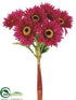 Silk Plants Direct African Daisy Bundle - Beauty - Pack of 12