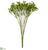 Baby's Breath Bush - Green - Pack of 24