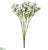 Baby's Breath Bush - White - Pack of 24