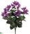 Outdoor Bougainvillea Bush - Orchid - Pack of 12