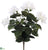 Outdoor Bougainvillea Bush - White - Pack of 12