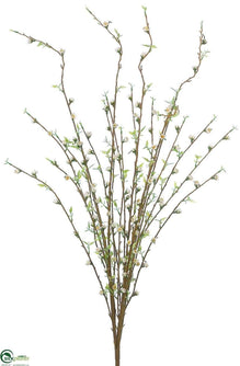 Wild Blossom Bush - Cream - Pack of 6