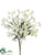 Bellflower Bush - Cream White - Pack of 12