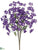 Bellflower Bush - Purple Two Tone - Pack of 12