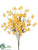 Bellflower Bush - Yellow - Pack of 12