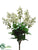 Bouvardia Bush - Cream - Pack of 12