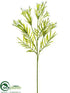 Silk Plants Direct Bouvardia Bush - Cream - Pack of 12