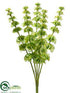 Silk Plants Direct Bells of Ireland Bush - Green Light - Pack of 12