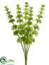 Silk Plants Direct Bells of Ireland Bush - Green Light - Pack of 12