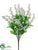 Bellflower Bush - White - Pack of 12