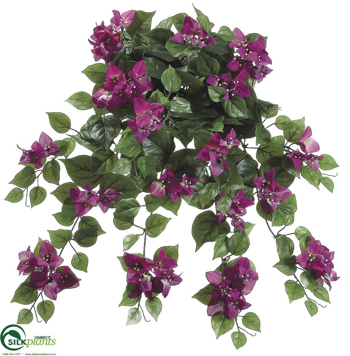 bougainvillea hanging plant Silk Plants Direct Bougainvillea Hanging Bush - Fuchsia