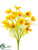 Cosmos Bush - Yellow - Pack of 6