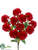 Carnation Bush - Red - Pack of 12