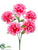 Carnation Bush - Pink - Pack of 24