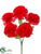 Carnation Bush - Red - Pack of 24