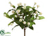 Silk Plants Direct Clover Bush - White - Pack of 12