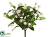Silk Plants Direct Clover Bush - White - Pack of 12