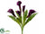 Calla Lily Bush - Violet - Pack of 6