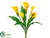 Calla Lily Bush - Yellow - Pack of 6