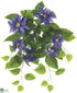 Silk Plants Direct Outdoor Clematis Bush - Purple - Pack of 6