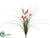 Wild Crocus Grass Bush - Orange Two Tone - Pack of 12